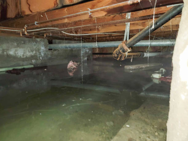 Best Water damage restoration services  in Laurel, MD