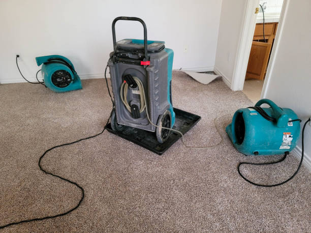  Laurel, MD Water damage restoration Pros