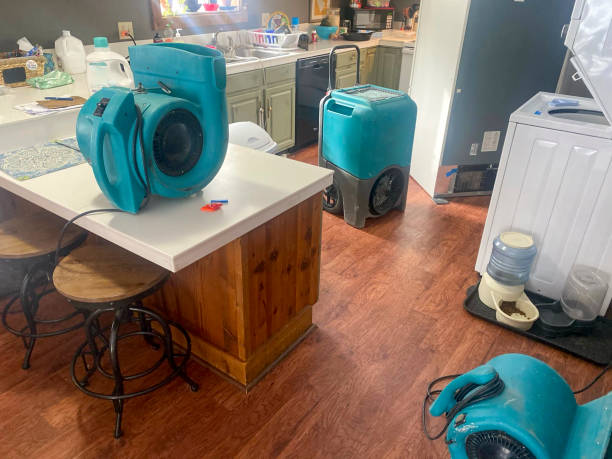 Best Water damage restoration near me  in Laurel, MD