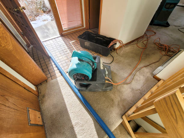 Best Water damage cleanup near me  in Laurel, MD