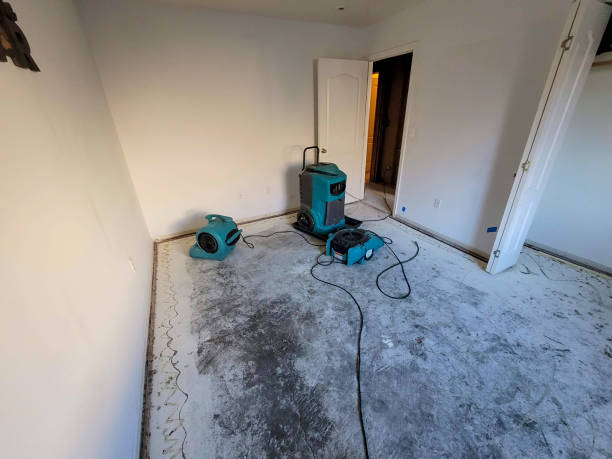 Best Flood damage cleanup  in Laurel, MD