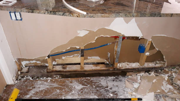 Best Basement water damage restoration  in Laurel, MD