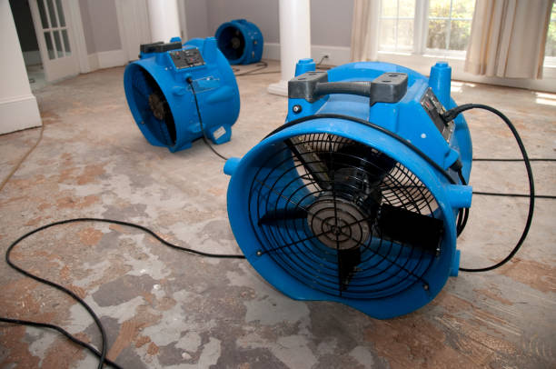 Best Carpet water damage restoration  in Laurel, MD