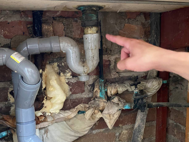 Best Carpet water damage restoration  in Laurel, MD