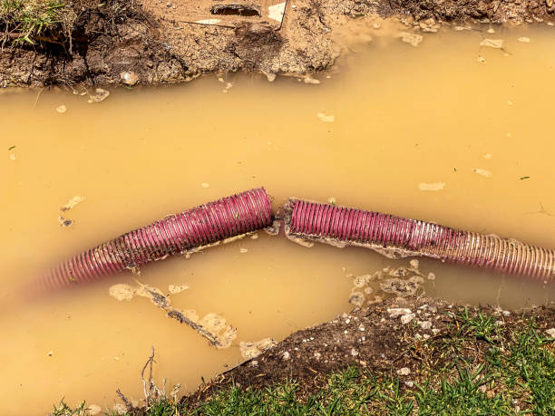  Laurel, MD Water damage restoration Pros