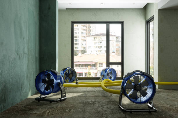 Best Mold removal after water damage  in Laurel, MD